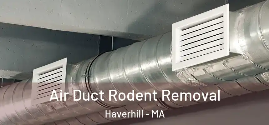 Air Duct Rodent Removal Haverhill - MA