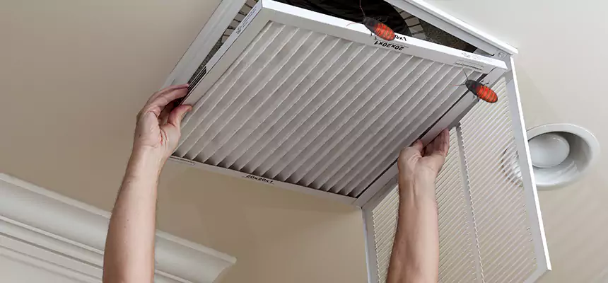 Preventive Cockroach-Proofing for Ducts in Haverhill