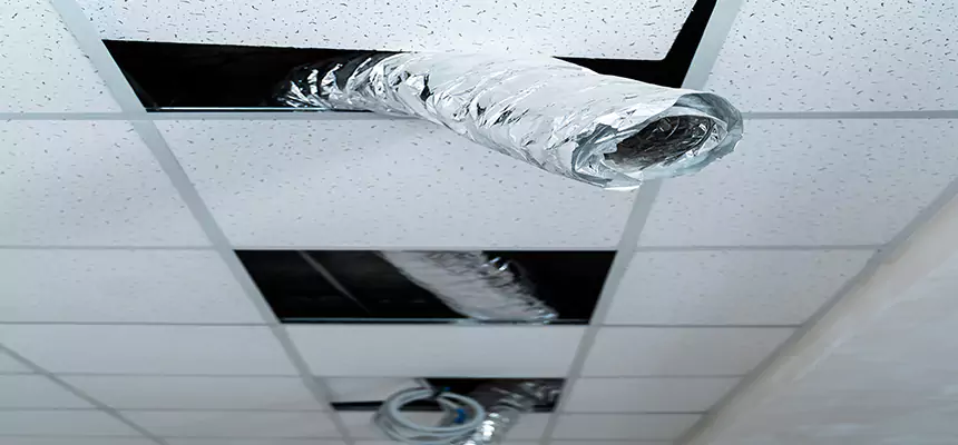 Affordable HVAC Sanitizing After Pest Removal in Haverhill