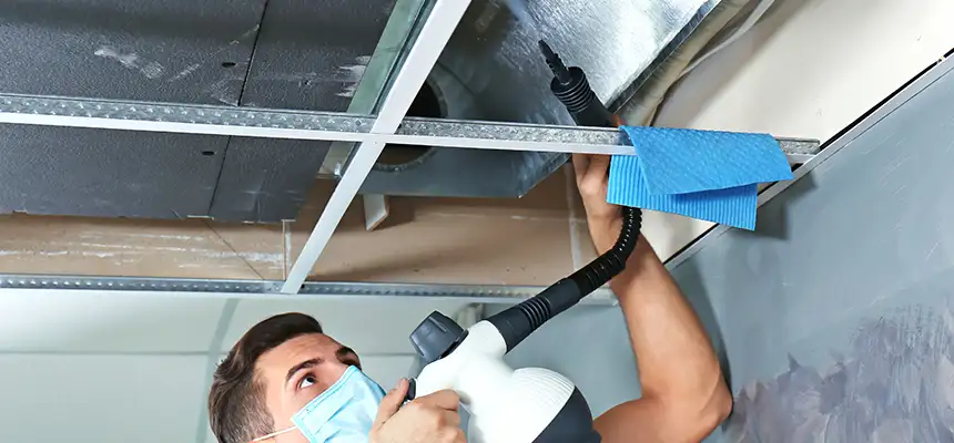 Our Air Duct Rodent Removal Services in Haverhill, MA