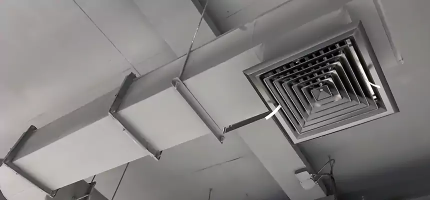 Our Pest Removal From Ducts Services in Haverhill, MA