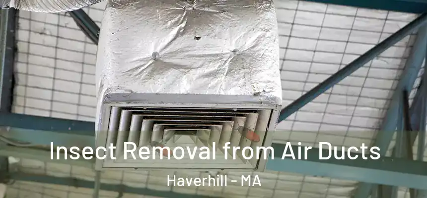Insect Removal from Air Ducts Haverhill - MA