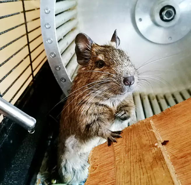 Why Homeowners & Businesses Trust Us Haverhill, MA