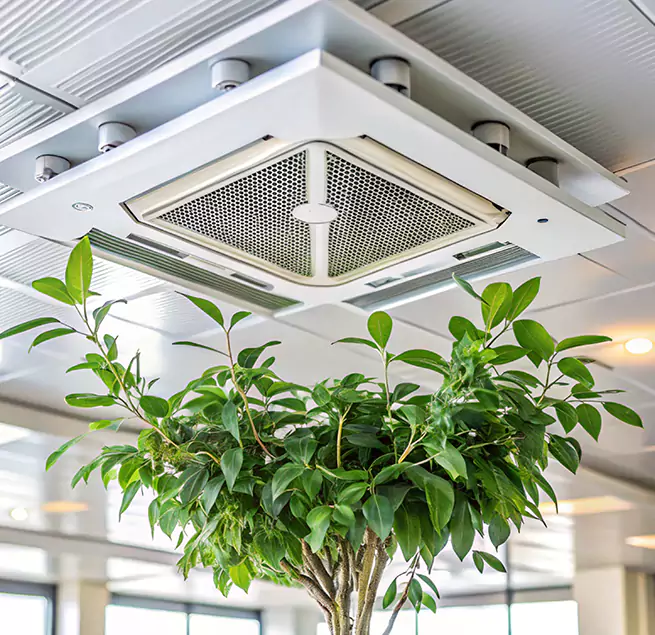 Why Homeowners & Businesses Trust Us in Haverhill, MA